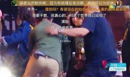 明星最新爆料视频大全集,视频大全集深度揭秘