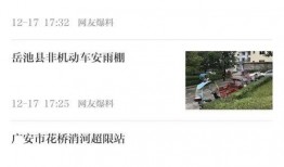 网名最新爆料大全,网名最新爆料大全深度解析