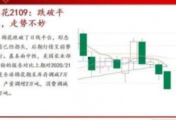 甲醇期货最新爆料图解,图解市场动态与趋势分析