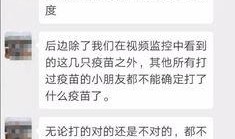 石家庄爆料医生事件最新,真相与争议交织的医患关系拷问