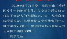 刑事案件爆料视频大全最新,追踪真相与正义