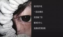 网名最新爆料大全,网名最新爆料大全深度解析