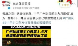 广州月嫂平台爆料案例最新,揭秘育儿嫂行业潜规则与真实案例