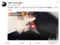 邯郸出轨爆料事件最新,真相大白，当事人身份及细节曝光