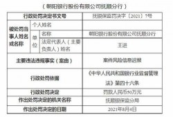 辽宁抚顺爆料案件最新消息,案情揭秘，疑云重重待解
