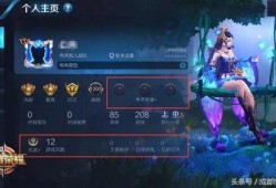 王者之星爆料最新消息,神秘新英雄即将登场，游戏格局将迎巨变！